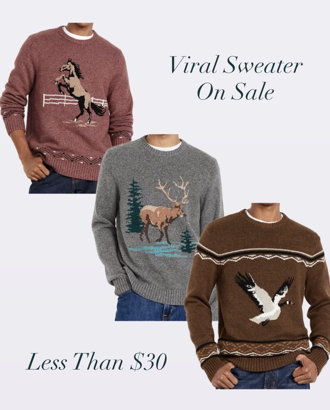 Sweaters that went viral on Tik Tok for 50% OFF. Graphic sweater. Ralph Lauren style.

#LTKSaleAlert #LTKSeasonal #LTKFindsUnder50