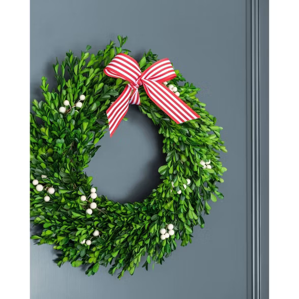 17.7in Preserved Boxwood Wreath - sugar paper™ | Target