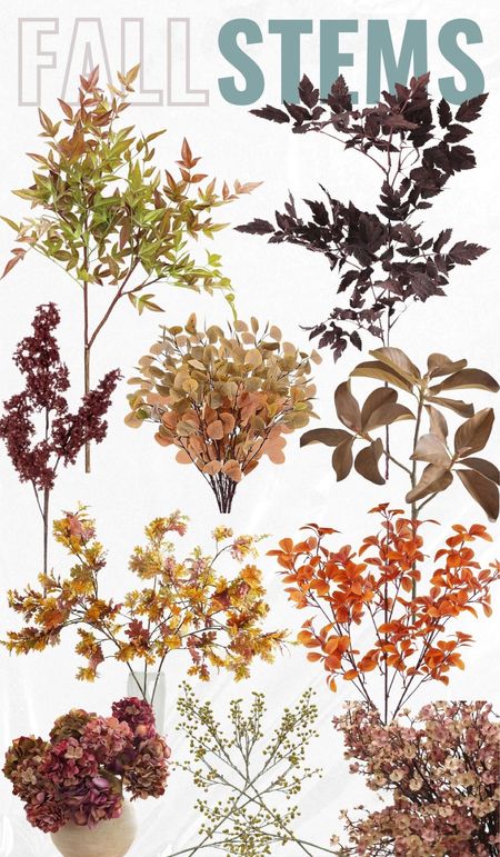 Fall stems, fall floral from Amazon , fall stems from Afloral

#LTKstyletip #LTKhome #LTKSeasonal