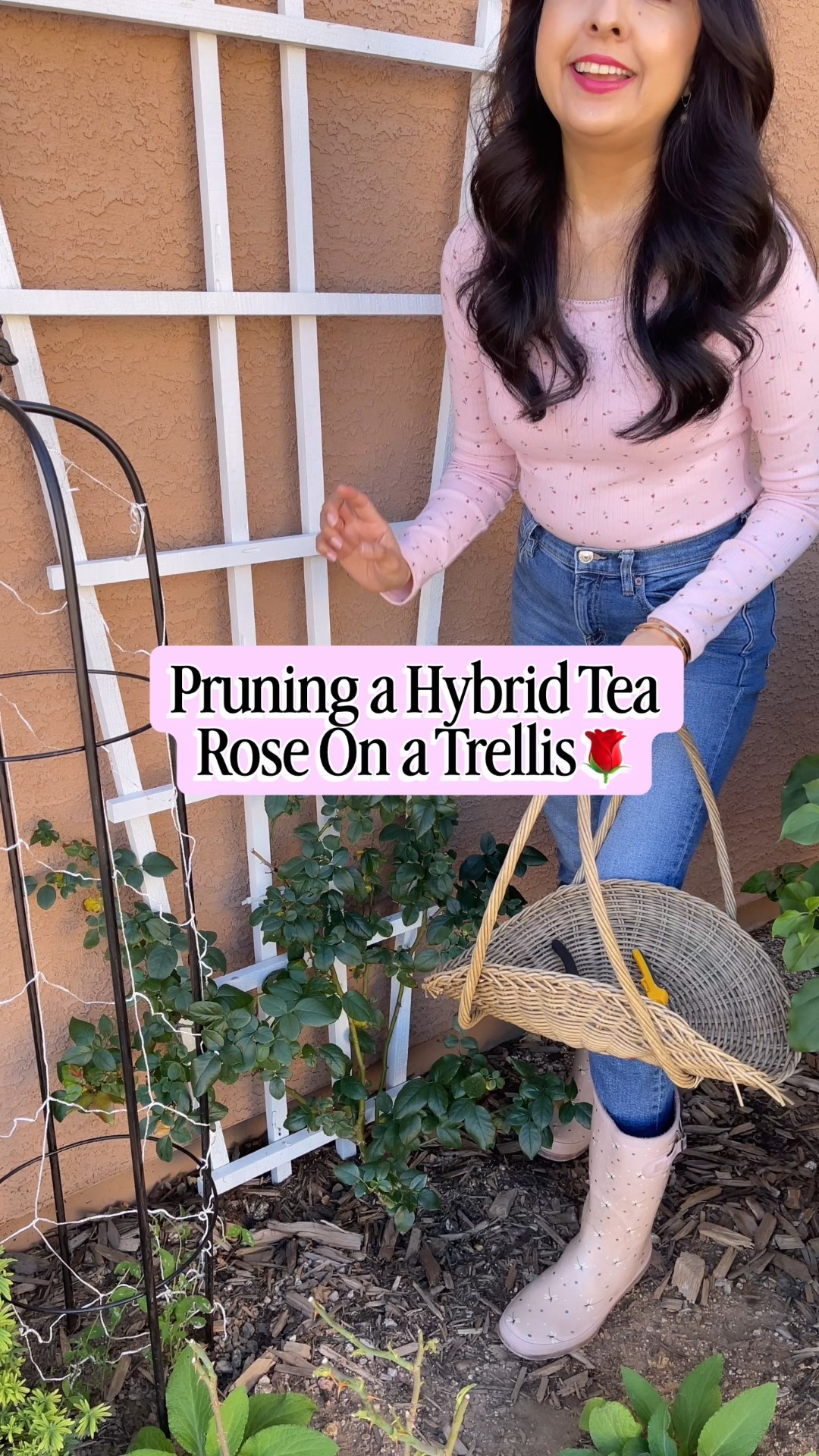 🌹🌹🌹Pruning roses style & garden favorites...

#LTKSaleAlert #LTKHome #LTKValentine