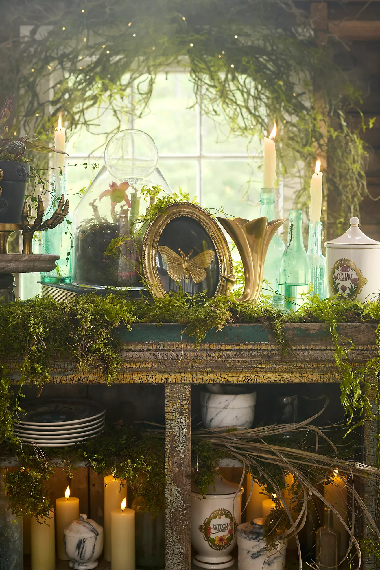Terrain Golden Moth Shadow Box | Anthropologie (US)