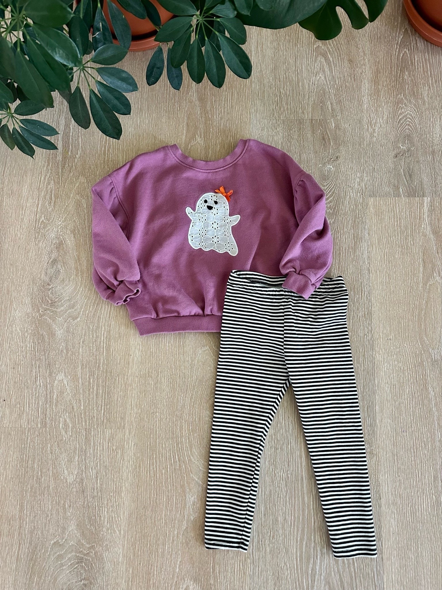 September means it's officially spooky season! 👻 This adorable mauve ghost sweatshirt paired with classic black and white striped leggings is the perfect toddler Halloween outfit for pumpkin patch adventures, apple orchard visits, school parties, trick-or-treating, Halloween photos, and all your favorite fall memories. Cozy, affordable, and easy to mix and match throughout the season!
Everything is linked in my LTK for easy shopping.

#LTKBaby #LTKKids #LTKSeasonal #ToddlerHalloweenOutfit #HalloweenStyle #ToddlerFashion #FallKidsStyle #PumpkinPatchOutfit

toddler Halloween outfit, ghost sweatshirt, toddler ghost sweatshirt, mauve sweatshirt, striped toddler leggings, Halloween kids clothes, girls Halloween outfit, toddler fall fashion, pumpkin patch outfit, apple orchard outfit, trick or treat outfit, affordable toddler clothes, Target Halloween, cozy toddler outfit, Halloween style inspiration, toddler girl fashion, fall family photos, spooky season outfit, kids Halloween fashion

#LTKBaby #LTKKids #LTKmomlife