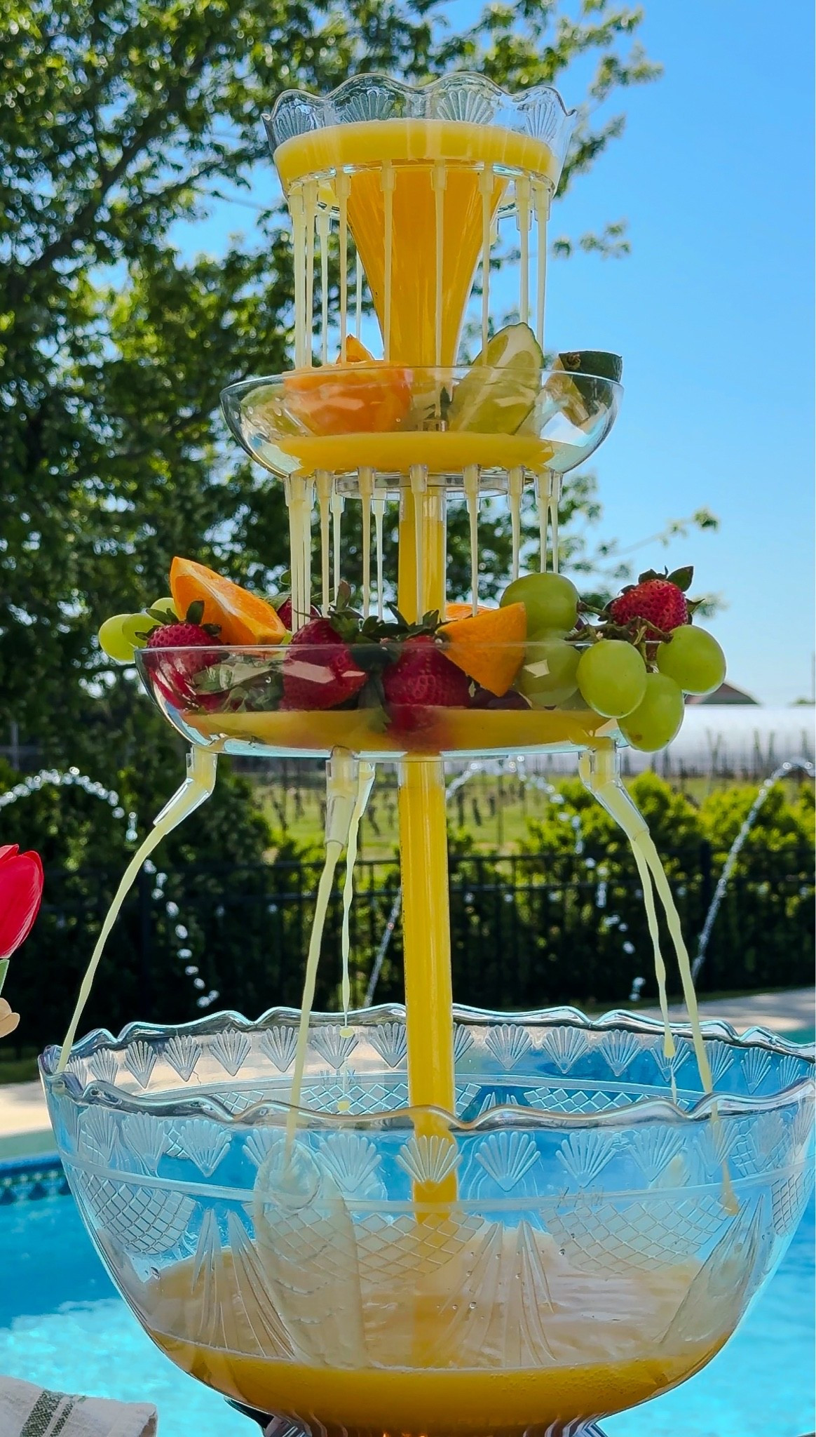 The funnest way to have a mimosa bar!