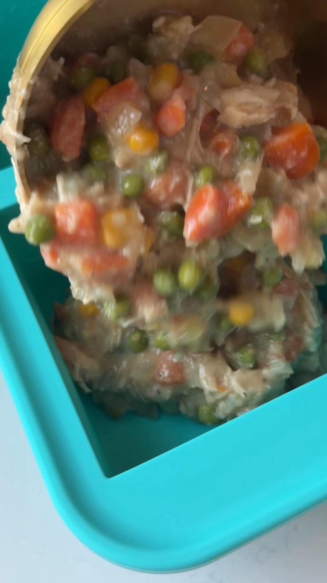 Best way to freeze leftover soup! 🍲

#LTKmomlife #LTKSeasonal