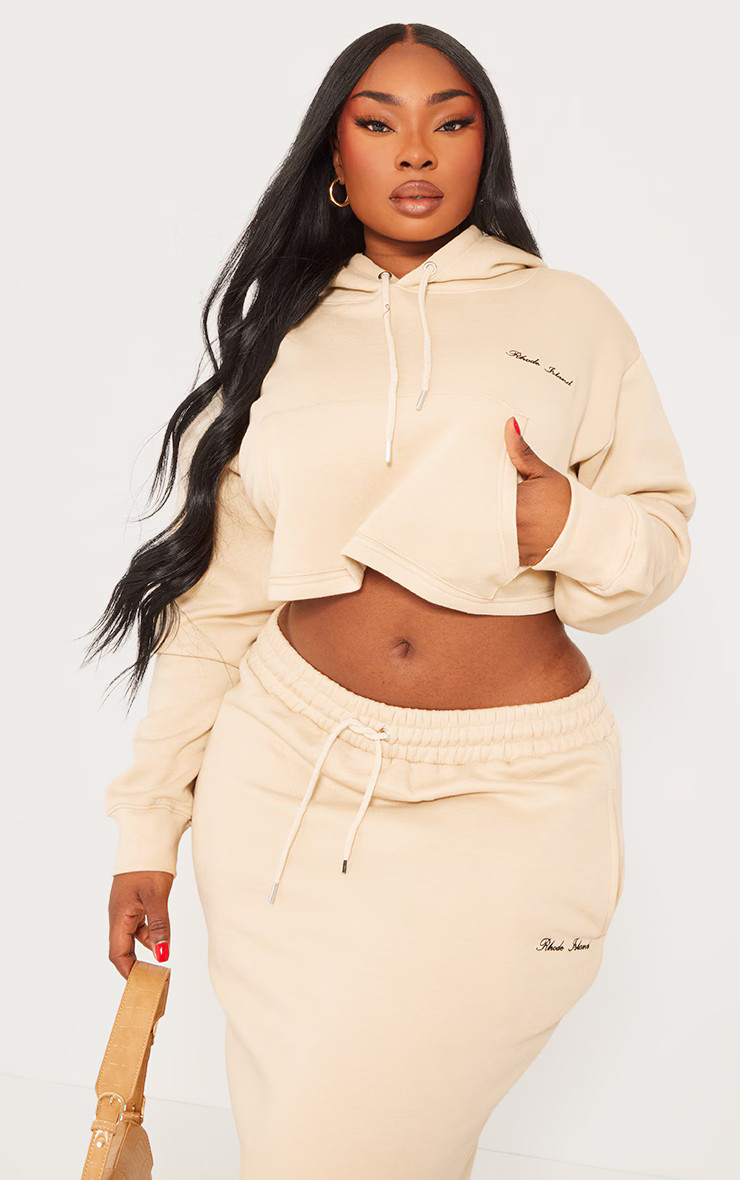 Plus Stone Embroidered Hoodie Sweat | PrettyLittleThing US