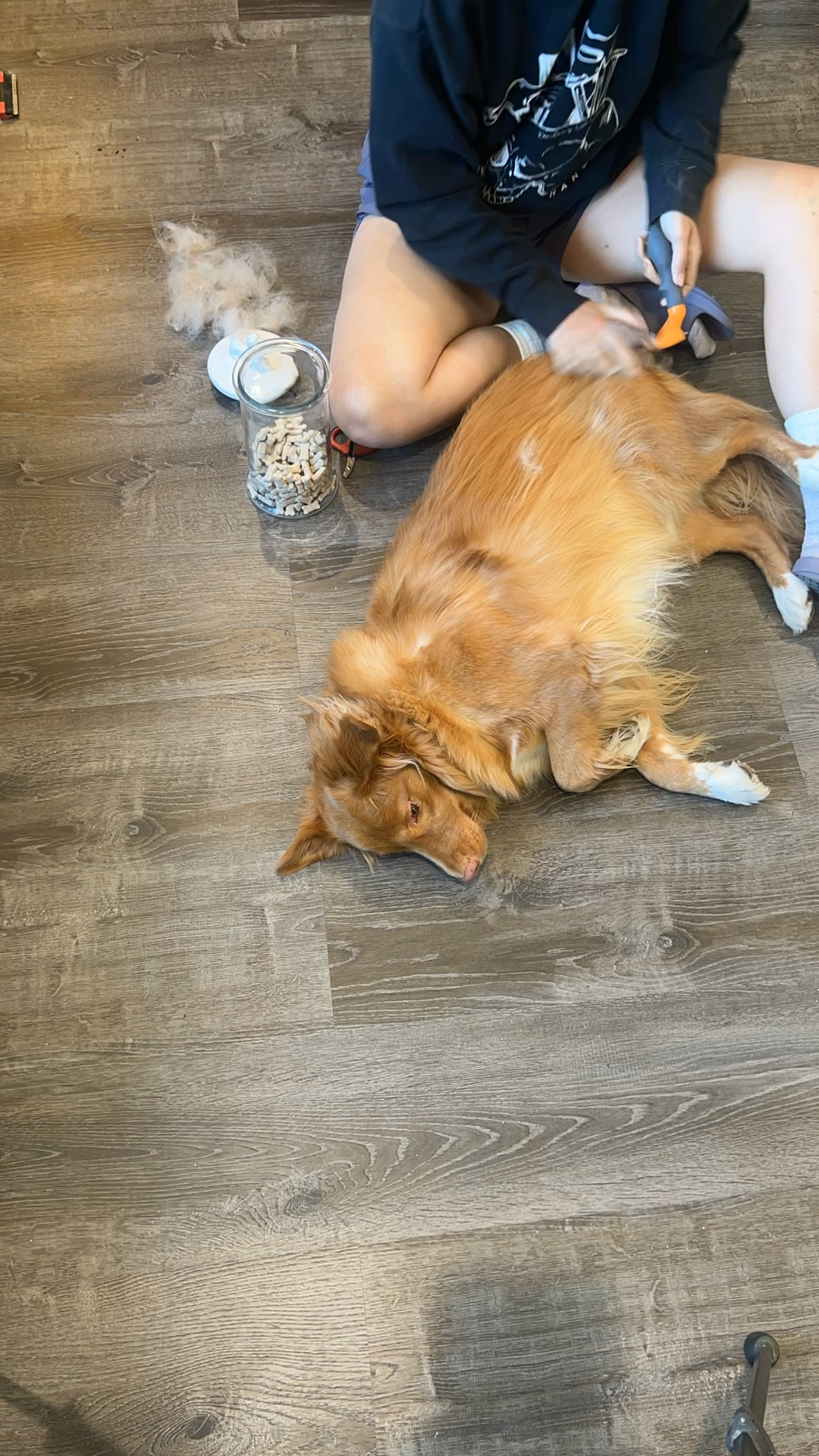 It’s shedding season for my dog!! This brush is a lifesaver to keep our house clean and prevent the dog hair from taking over this fall! 

#LTKhome #LTKSeasonal