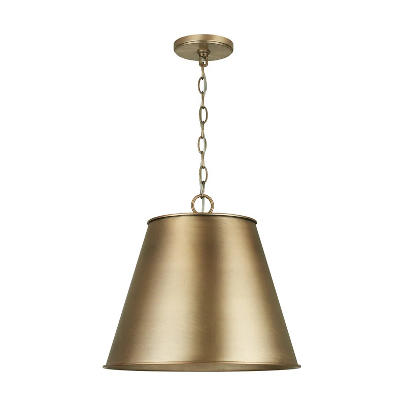 Salome 1 - Light Single Cone Pendant | Wayfair North America