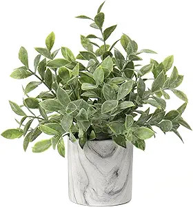 Hollyone Mini Artificial Potted Plants Fake Plants in Marble Pots, 1Pcs Plastic Eucalyptus Greene... | Amazon (US)