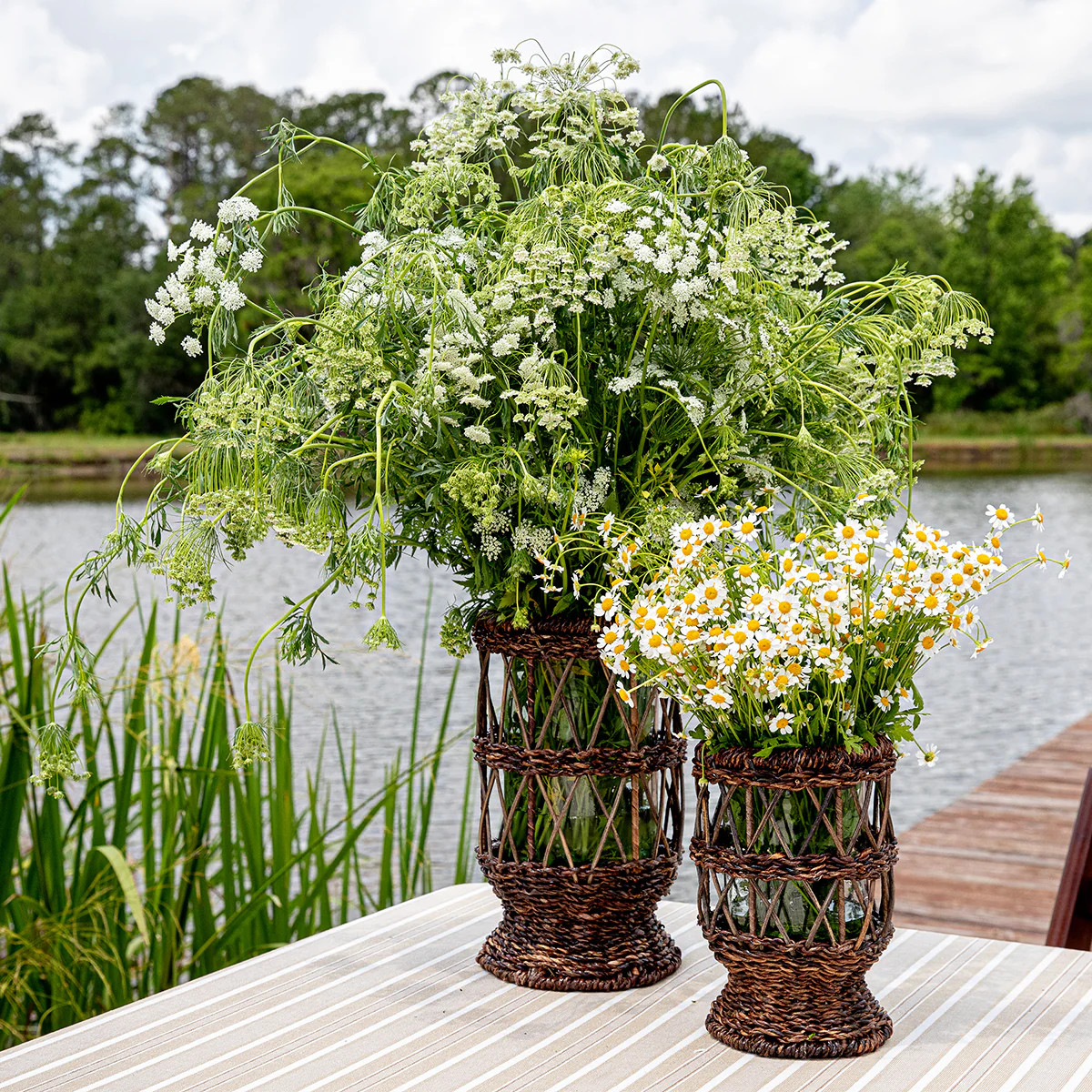 Devon Willow Hurricane | Over The Moon