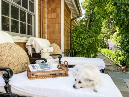 Woven round outdoor pillows for summer! Fun …. and Pippa 🐶 approved! #summerpillows #outdoorliving #potterybarn

#LTKSeasonal #LTKhome #LTKunder100