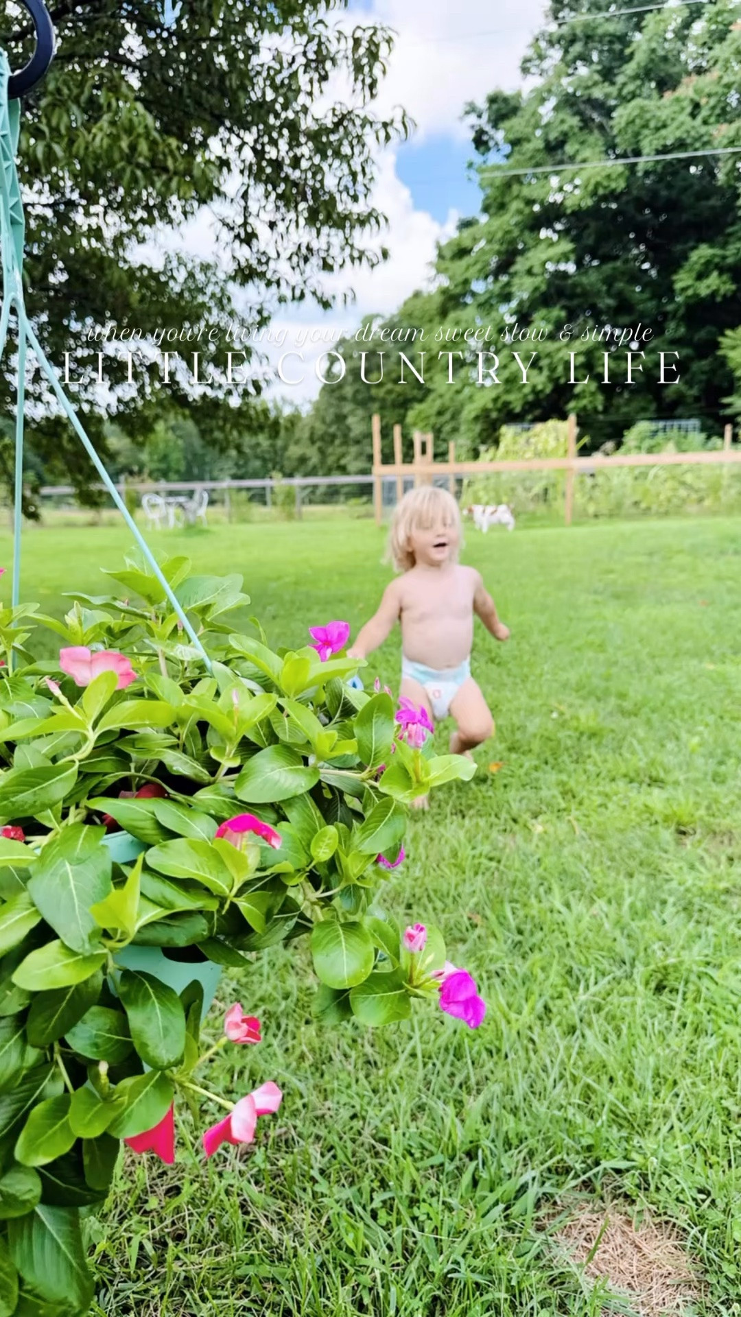 The country views of my absolute dreams 👶🏼🌾✨🪴💐 Love this sweet simple little country life of ours so !!! 🐓🫶🏽👣🐴💐🌻🧺🌾🦌 #sweetslowsimple #ourcountrylife #daysidreamedof #barefootbabies #lifeonourfarm 

Happy happy girlies 🐓 when they get their little daily @lovemygirlstreats snack/treat 🪱 hehe! 😋 Linked it over on my LTKit shop for all you fellow chicken 🐔 mamas out there! 🔗 And these little cuties live (!!) diggin’ 🪏🪣🛻 in their sandbox 🪵💛 out here where the green grass grows !!! ⛰️🐴🫏

Sweetest little view 👶🏼🎨🫟 while I was cooking dinner 🍽️ tonight 🥰🪟 - this little homeschool room is so special to us !!! 💛 And nothing says late summertime like a yummy 😋 orzo lemon 🍋 feta pasta salad with fresh tomatos 🍅 and cucumbers 🥒 from the garden!!🪴 It was a back patio dinner 🍽️ kind of night around here - August is so dreamy out here on the farm !!! 🌾 And just take a look at that sunset 🌅 and cotton candy clouds ☁️ walking out the front door 🚪- I just can’t believe this place is real !!! 🥰

Our farmhouse is feeling so cozy 🥰🪑 now as we are getting closer and closer to fall 🤭 - I loveeee summertime ☀️ but am getting really excited for our very first (!!) fall 🍁 here on the farm… I just know it is going to be so magical and stunning 🤩 here!! 🧡 Probably why I’ve been doing so many little touches inside the farmhouse to start preparing for “cozy season” 🔥🏡 ahead - eek!!! 😍

PS. Apparently it’s “Christmas 🎄🎅🏻 in August” 🤣🌻 around here lol !!! 🎶🎼 Linked this record player 🎵 over on my shop, too - it is a daily (!!) favorite 🤩 around here!! 🤭