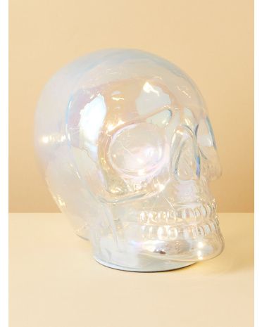5x7 Led Skull Decor | HomeGoods
