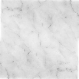 Bianco Carrara 12 X 12 Honed Marble Tile | Tile Club