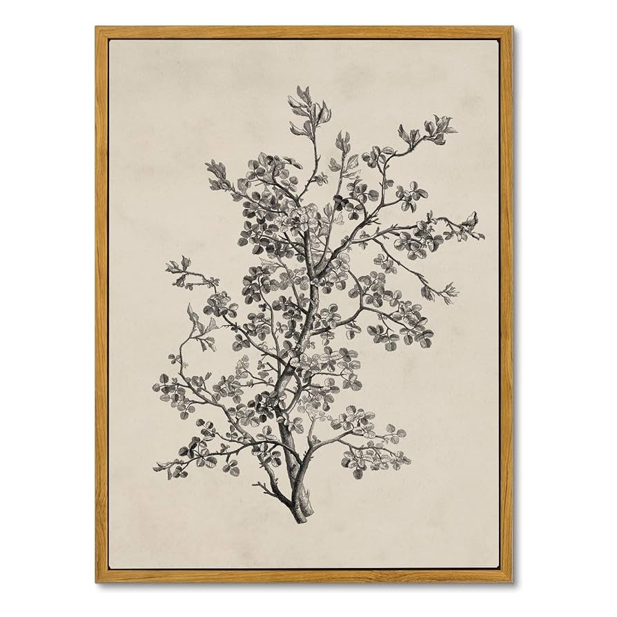 MOXELART Framed Vintage Wall Art Home Decor, Minimalist Botanical Wall Art Decor for Living Room,... | Amazon (US)