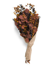 24in Eeal Preserved Eucalyptus Bouquet | Marshalls