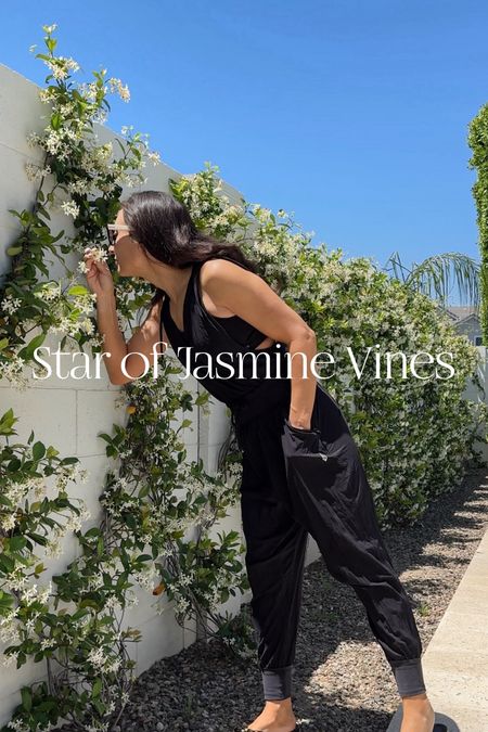 🌿Directions on how we did this are in the caption of my reel🌿

DIY trellis -star of jasmine-trainable vines-backyard greenery-backyard DIY

#LTKStyleTip #LTKHome #LTKSeasonal