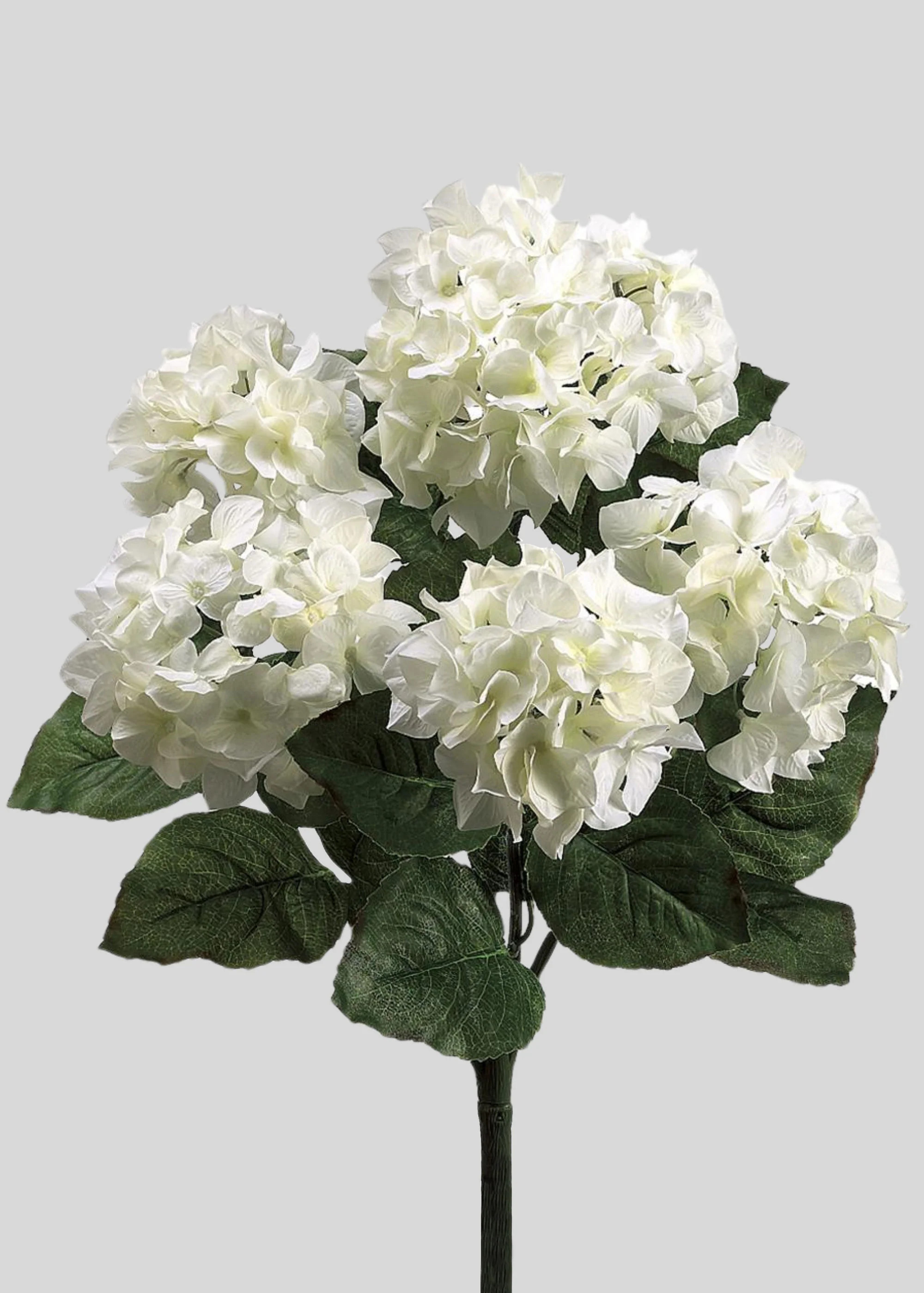 Hydrangea Bush in Cream White | Lifelike Fake Flowers at Afloral | Afloral