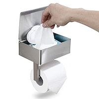 Day Moon Designs Brushed Nickel Toilet Paper Holder with Shelf, Flushable Wipes Dispenser, and Stora | Amazon (US)