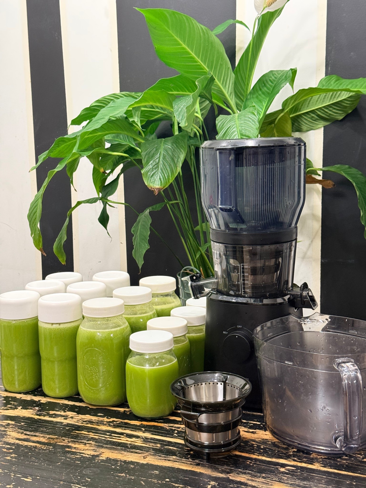 The Nama J2 Juicer is hands down the ultimate Christmas gift for the wellness lover 🎄💚
It’s sleek, powerful, and makes juicing sooo easy — trust me, it’s a total game changer!! 🥒🍏

#JuicingWithPriiincesss #NamaJ2 #HealthyLifestyle #LTKHoliday #ChristmasGiftGuide #WellnessGoals #HealthyLiving #JuicingCommunity #GiftIdeas #LTKWellness

#LTKGiftGuide #LTKSeasonal