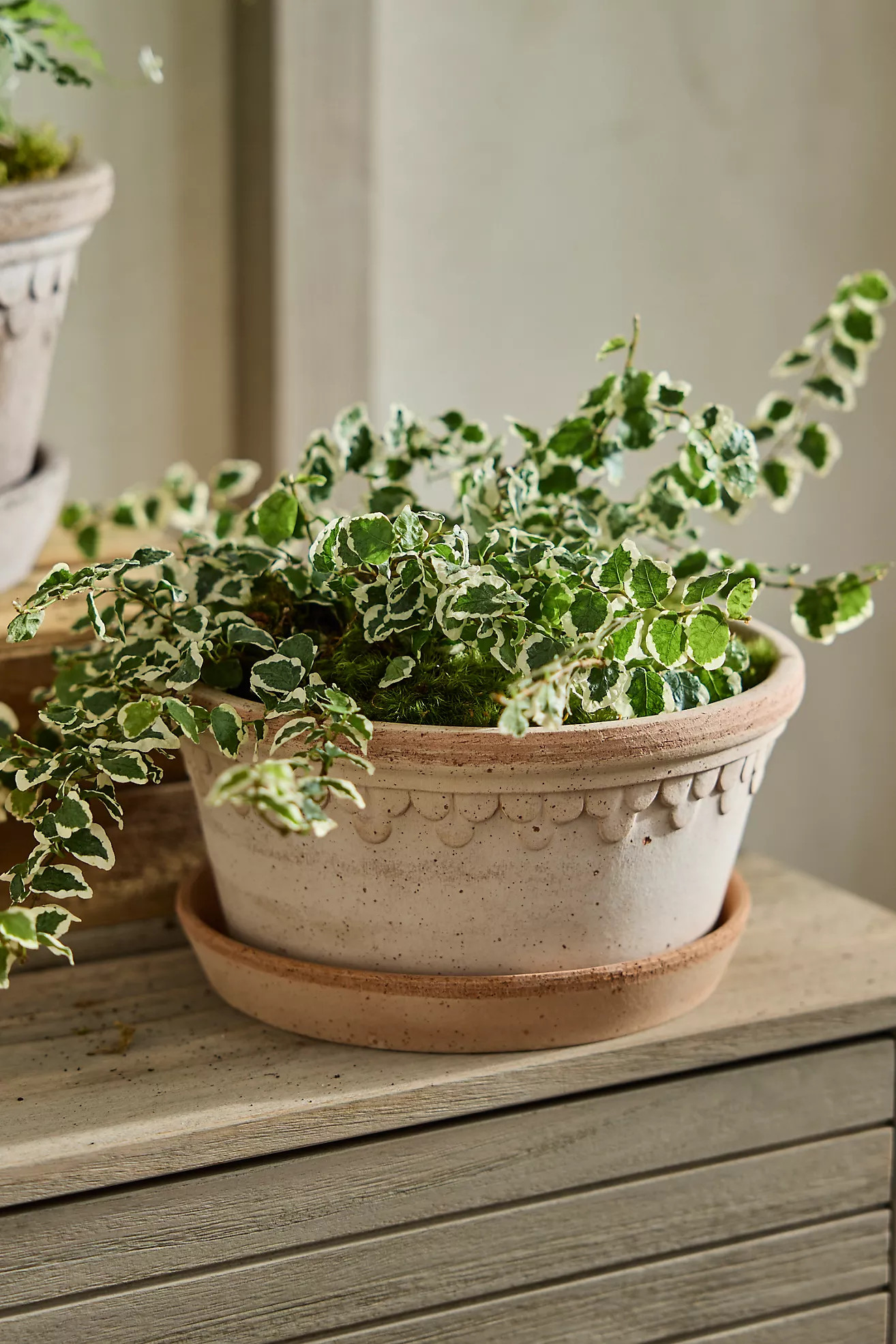 Bergs Copenhagen Terracotta Bowl + Saucer Set | Anthropologie (US)