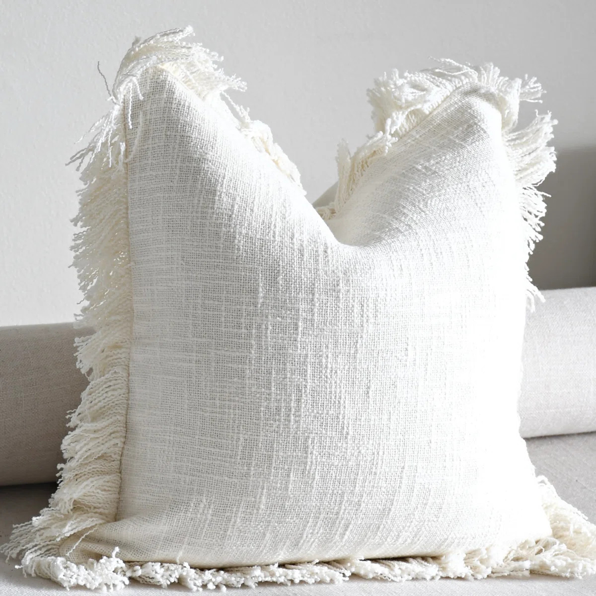 India Chic Fringed Cotton Pillow Cover (Set of 2) | Wayfair North America
