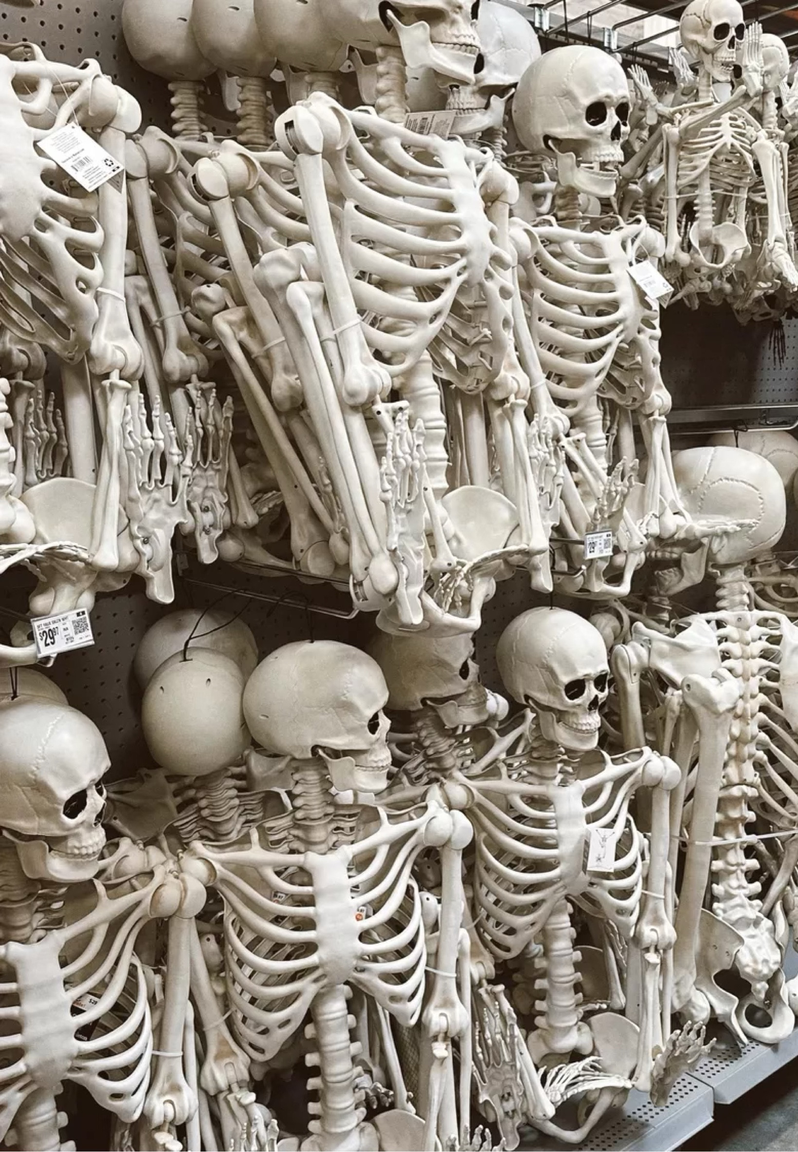 Halloween finds at @walmart that I’m loving 💀 HUGE skellys and poseable #halloween #halloweendecor #halloweenskeleton #skeleton #poseableskeleton #hugeskeleton #7footskeleton #halloween2024 #iywyk #walmartdecor #walmarthome #walmartfinds #ltkhalloween 

#LTKFindsUnder50 #LTKSeasonal #LTKHome