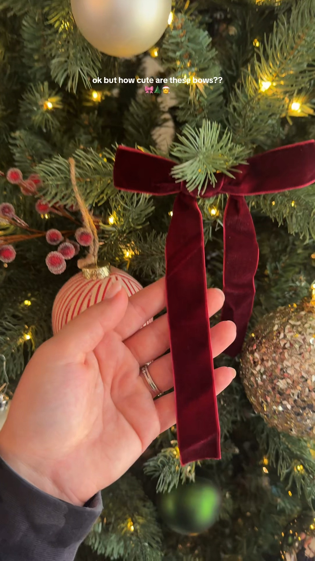 snag this Black Friday deal on the cutie velvet bows for your Christmas treehow

#LTKCyberWeek #LTKHoliday #LTKSeasonal