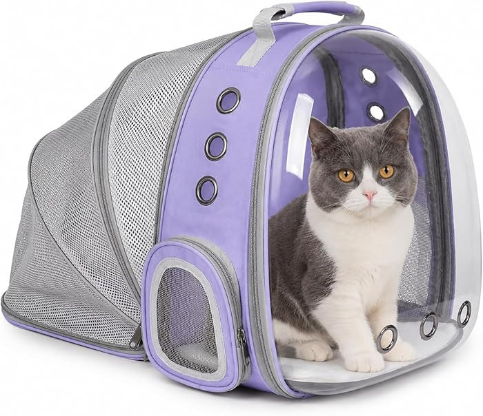 Expandable Cat Backpack Carrier, Breathable Clear Bubble Window Pet Carrier for Small Dogs and Ca... | Amazon (US)