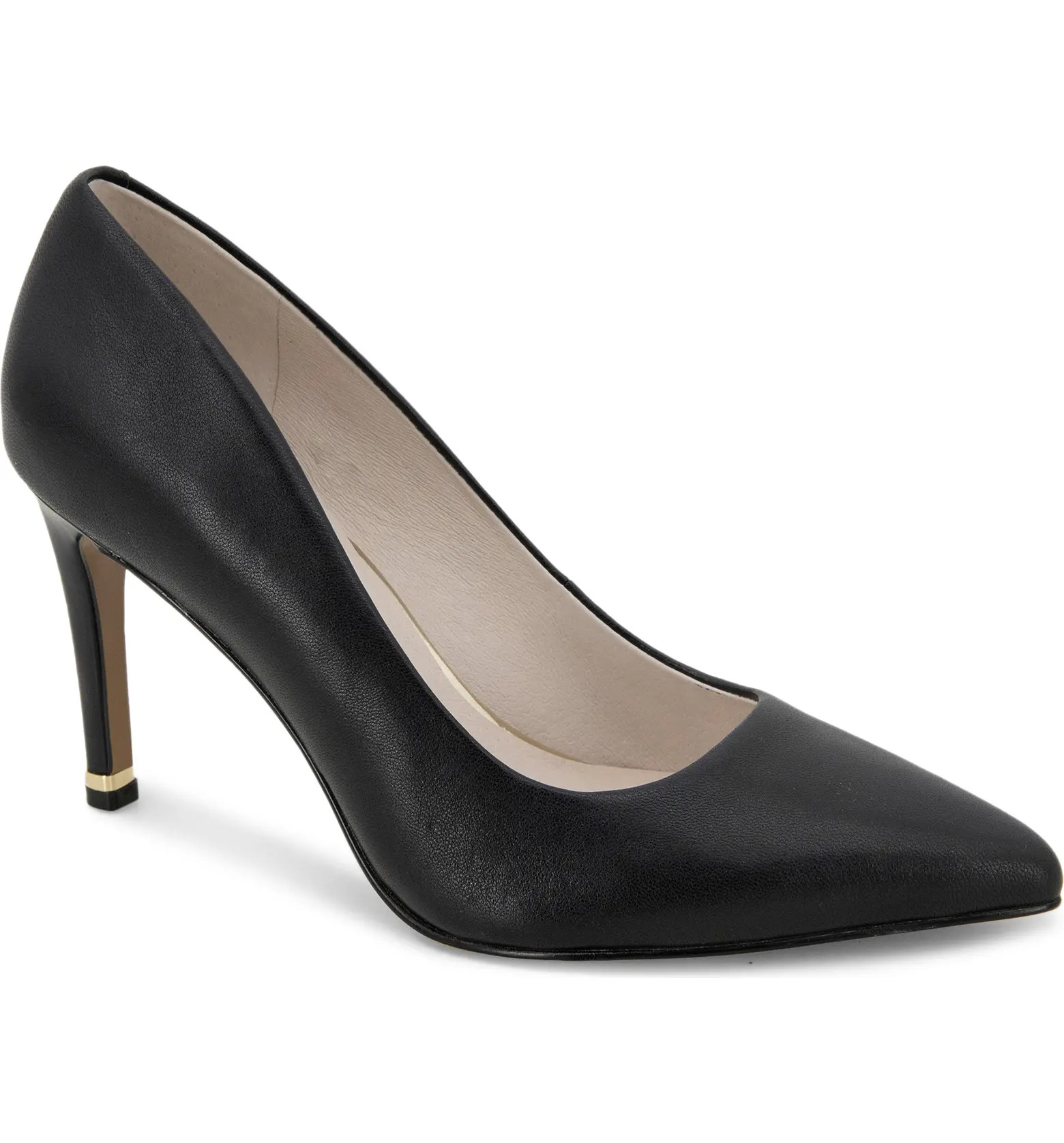 Aundrea Pointed Toe Pump (Women) | Nordstrom