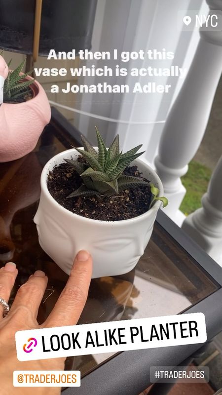 Jonathan Adler planter look alike // face planter, patio, porch, living room, white vase, white planter

#LTKfindsunder50 #LTKhome #LTKGiftGuide