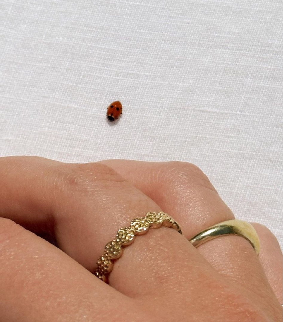 💛

#LTKSeasonal #LTKaustralia