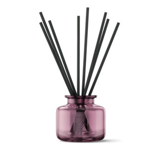 Jo Malone London Garnet Glass Diffuser & Wood Sage & Sea Salt Diffuser Refill | Jo Malone (US)