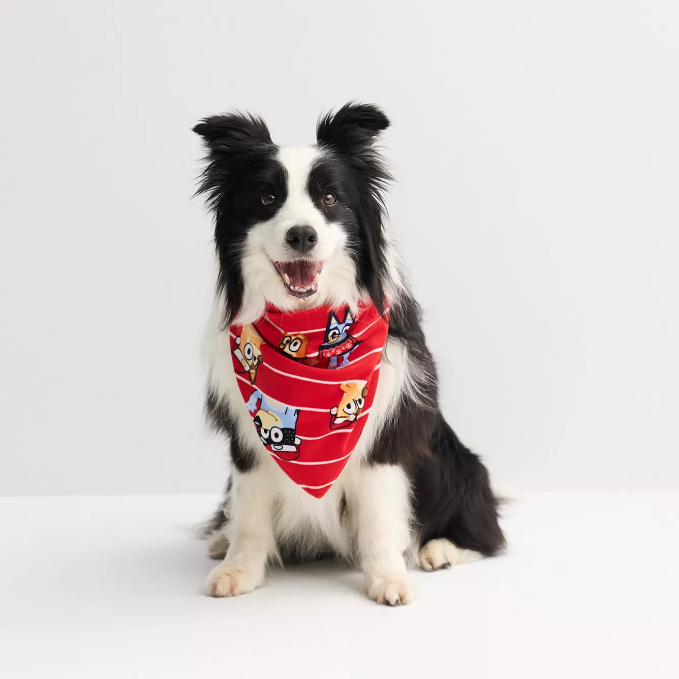 Pet Jammies For Your Families\u00ae Bluey Christmas Bandana | Kohl's