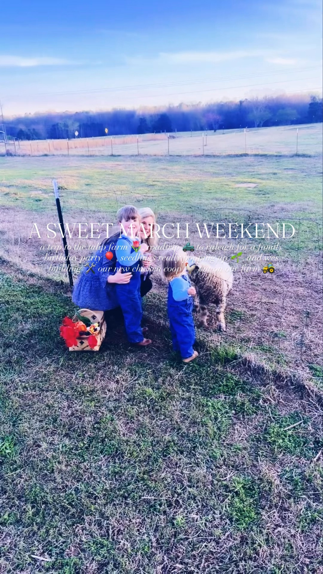 m y  k i n d  o f  w e e k e n d  🌷🪴🌅🚜💐🧺🤠🪺🚙🎉🎈🛝🛠️🪵🏡🌼 #ᴡᴇᴇᴋᴇɴᴅʀᴇᴄᴀᴘ 

A sunset 🌅 Friday evening spent at the flower 🌷 farm with my country cuties 🤠, driving up to Raleigh yesterday 🚙 for sweet Hannah’s birthday 🎂 party 🎈(sooo precious seeing all of the #cousinbesties play their little hearts out 🛝), and coming back home 🏡 to the farm 🌾 today to see all of our little seedlings 🌱 growing growing growing 💚 in front of the kitchen window!!! 🪟🫶🏽 #feelslikespringweekend

And I don’t think there’s anything better than fresh tulips 🌷(hand-picked 🤎 by my babies 👶🏼 - so special and sweet 🥹) in vases 🏺to put all around the farmhouse!! 🏡 All these colors 🎨 make me so happy!!! 🤩 And after I got both babies 👶🏼 down for their naps 💤 this Sunday afternoon, I walked by this sweet view 🤭 out the homeschool room 🍎 window 🪟- I mean… does it get any hotter 😮‍💨 than your man working with his hands 🙌🏽 on a project for you?! 🛠️ He is adding another nesting coop and big run off our chicken 🐓 coop 🪵 to make room for our new chickadees 🐥 in a couple weeks and eeeeek I’m SO excited about it!!! 🤭 He’s been hard at work on adding onto the coop 🐓🛠️🪵 all afternoon and it’s looking so good!! 😍 Look at my man!! 🔥🔥 #chickencoopbuilding 

It sure is going to be a sweet first springtime 💐 on the farm around here!!! 🚜🤠🌷🪴🪵🐓🐥🌸🥚🪺🌼🧺 #firstspringonthefarm 

#LTKKids #LTKmomlife #LTKdayinmylife