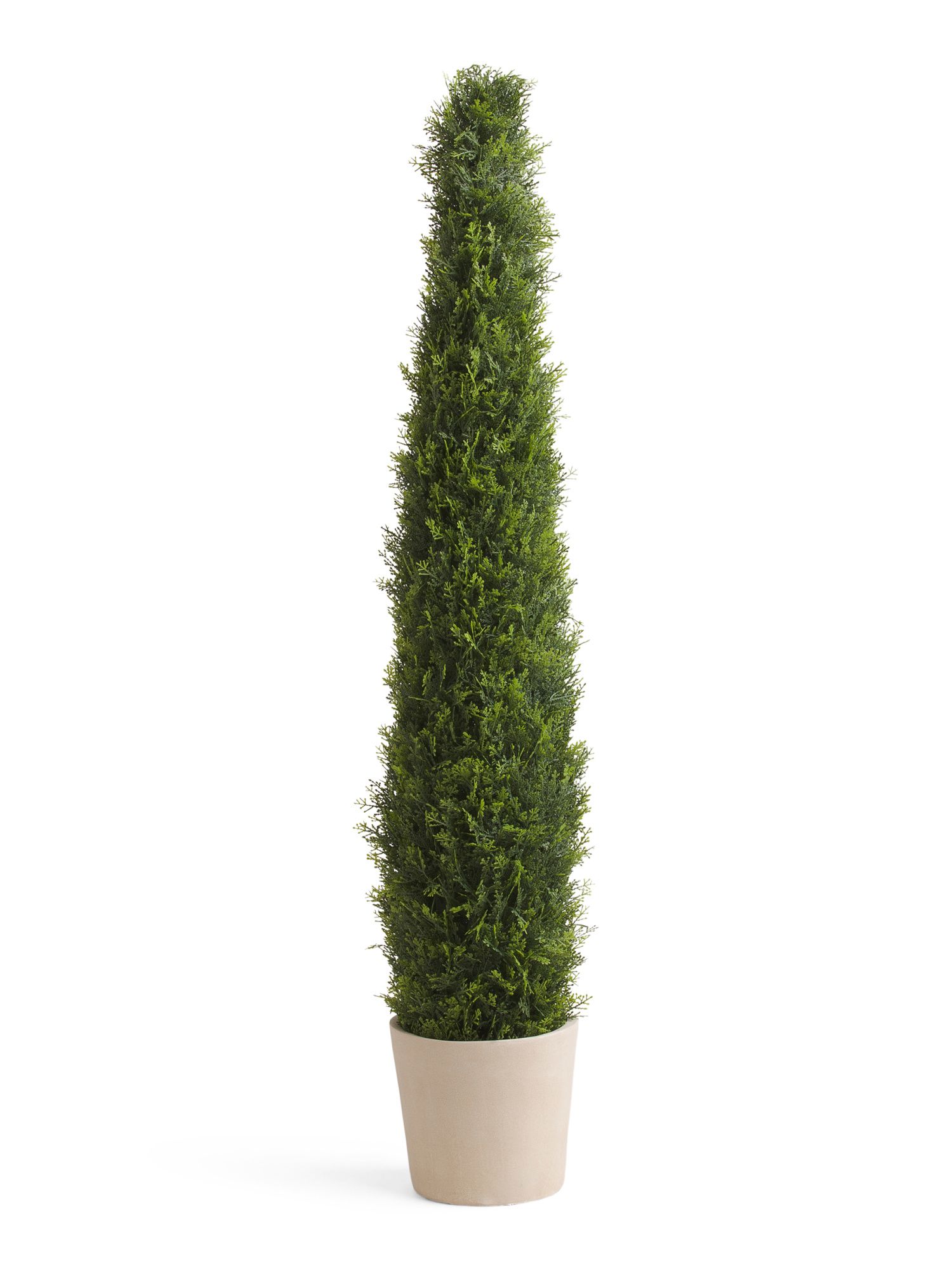 5ft Cypress Tree In Pot | TJ Maxx