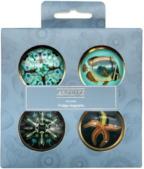 Archive Oceans Fridge Magnets, Set of 4 | Barnes & Noble