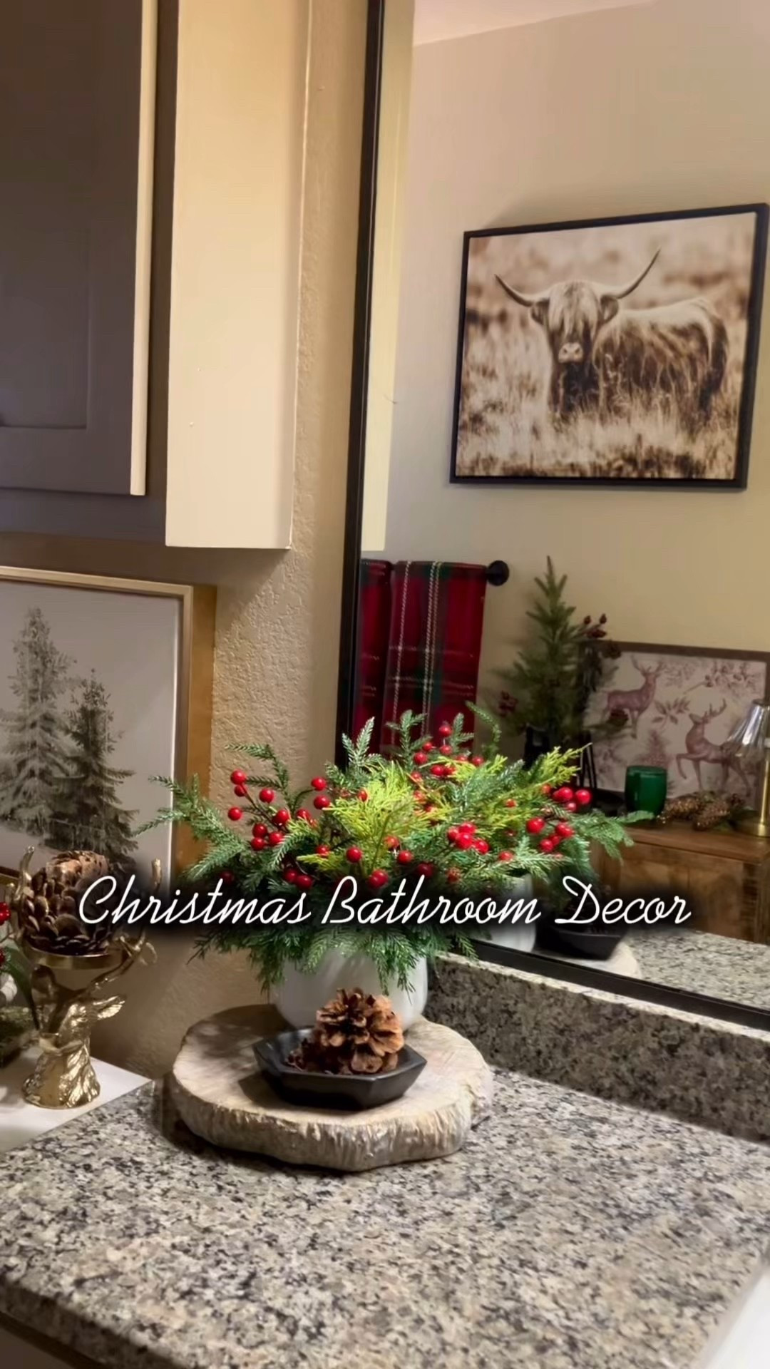 🎄♥️Guest Bathroom Christmas Decor!
Shop My LTK page for links~Thank You and Merry Christmas.

#christmas #christmasfinds #christmasdecor #christmasvibes #christmascountdown 

#LTKSeasonal #LTKHome #LTKHoliday