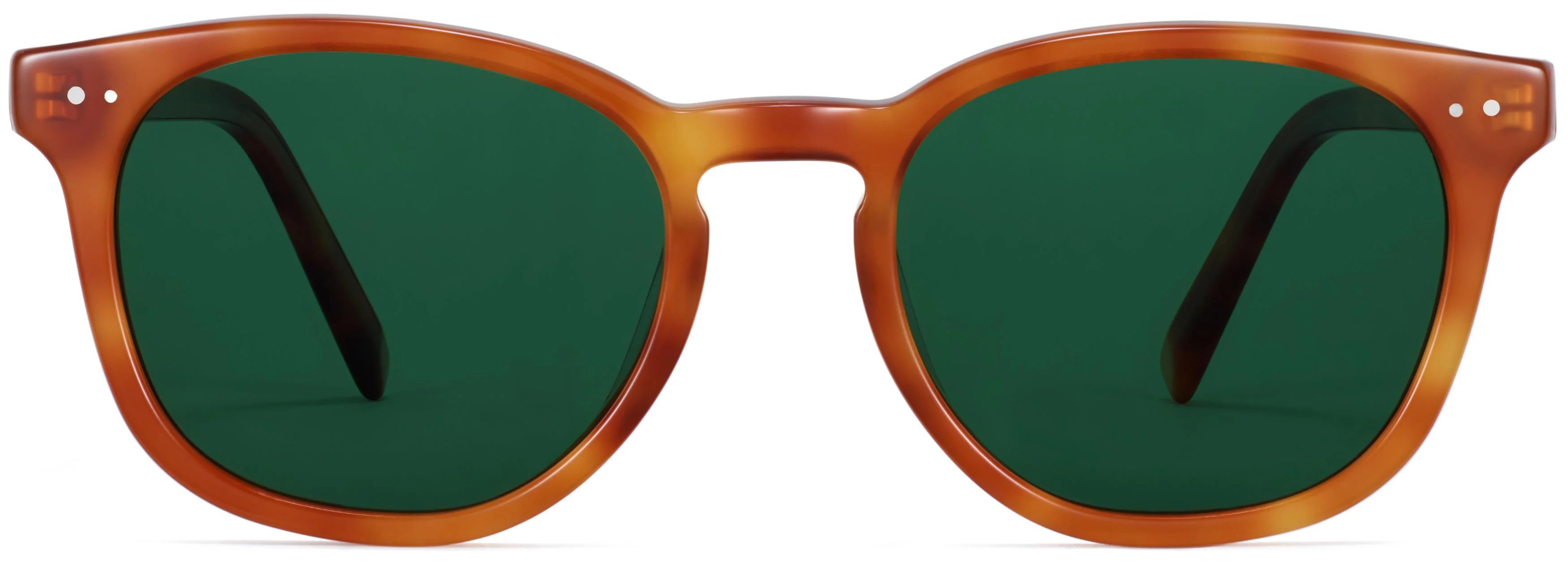 Toddy | Warby Parker (US)