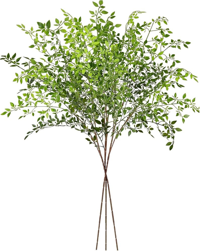 Nandina | Amazon (US)