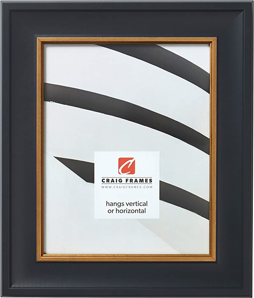 Craig Frames Martin Picture Frame, 24 x 36 Inch, Black Velvet with Gold | Amazon (US)