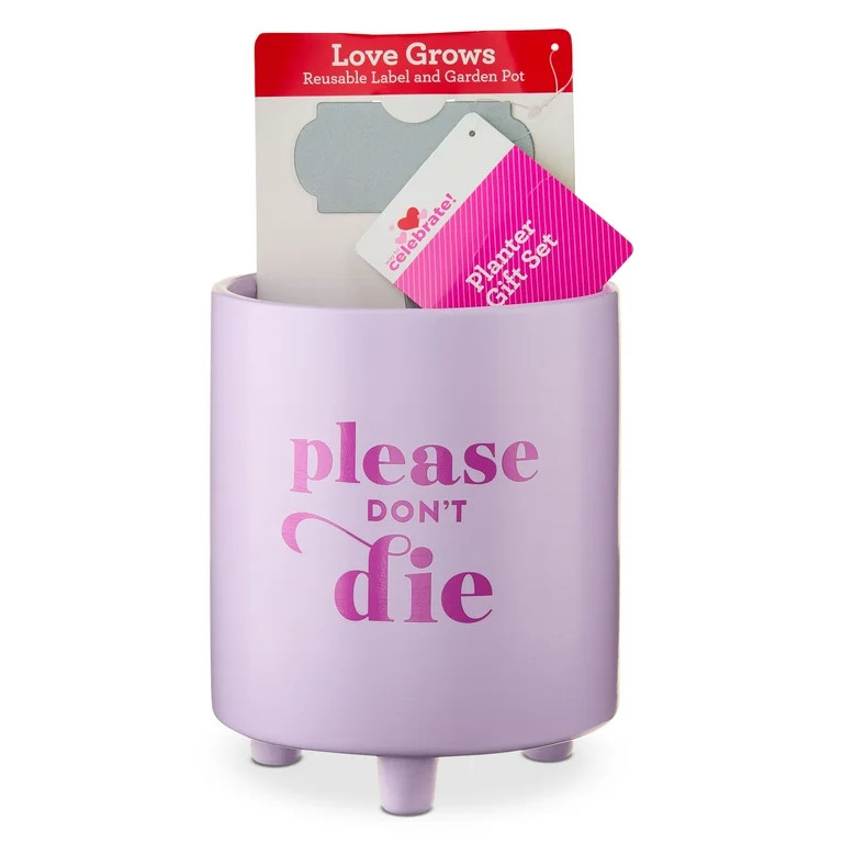 Please Don't Die Planter Set, Purple, 6", Valentine's Day by Way To Celebrate | Walmart (US)