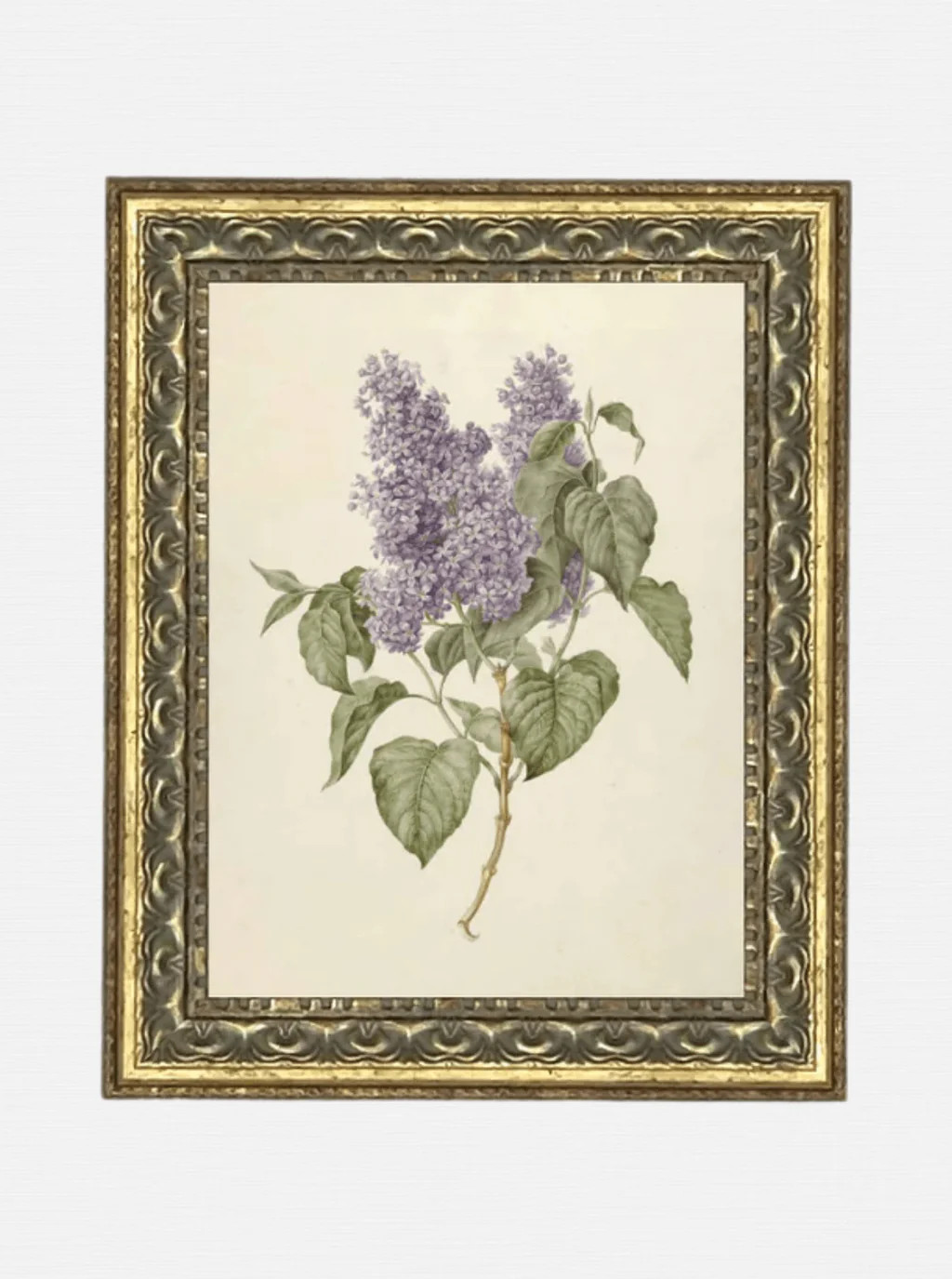 Lilac Blooms | House of Jade Home