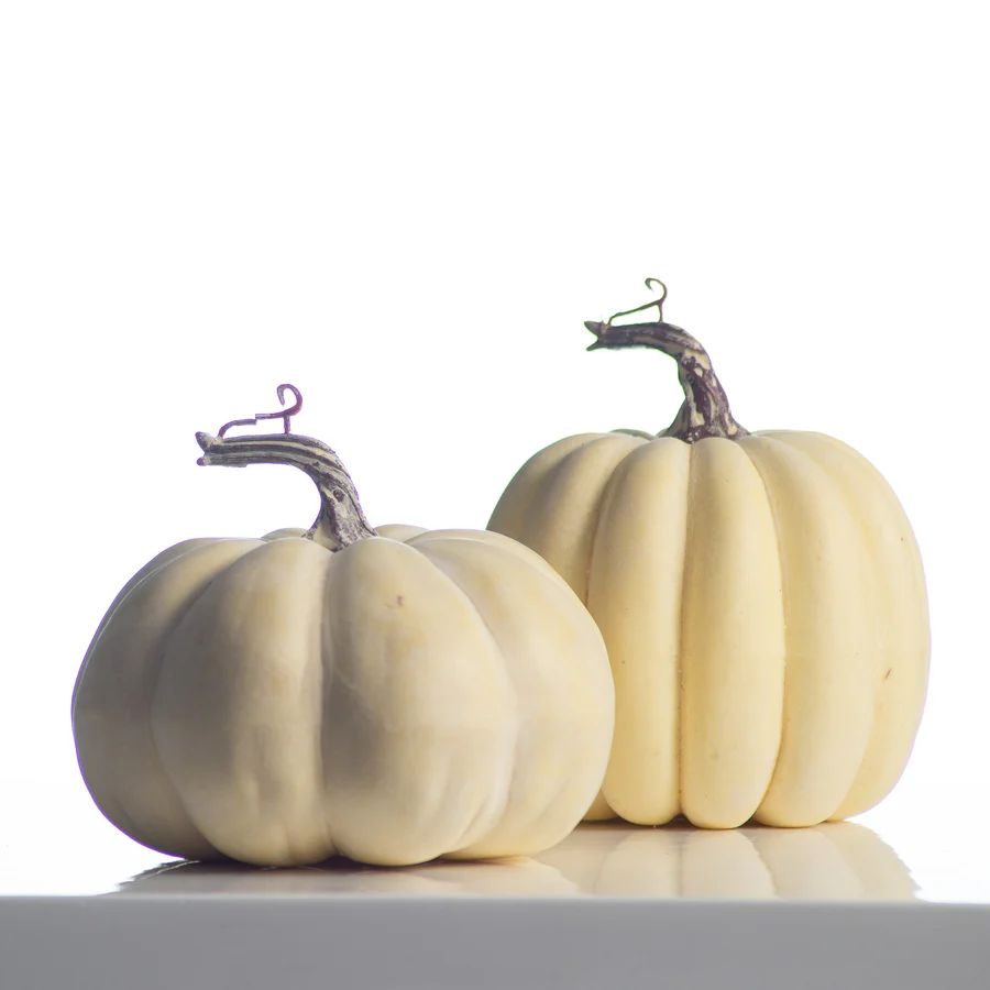 Cream Weathered Thanksgiving Harvest Halloween Pumpkin Set | Darby Creek Trading