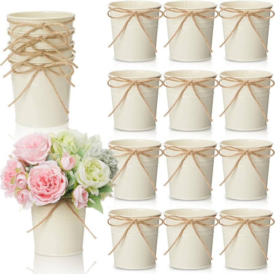 12 Pcs 3.94 Inches Farmhouse Vase Decor Vintage Flower Vase with Twine Bow, Rustic Metal Buckets ... | Amazon (US)