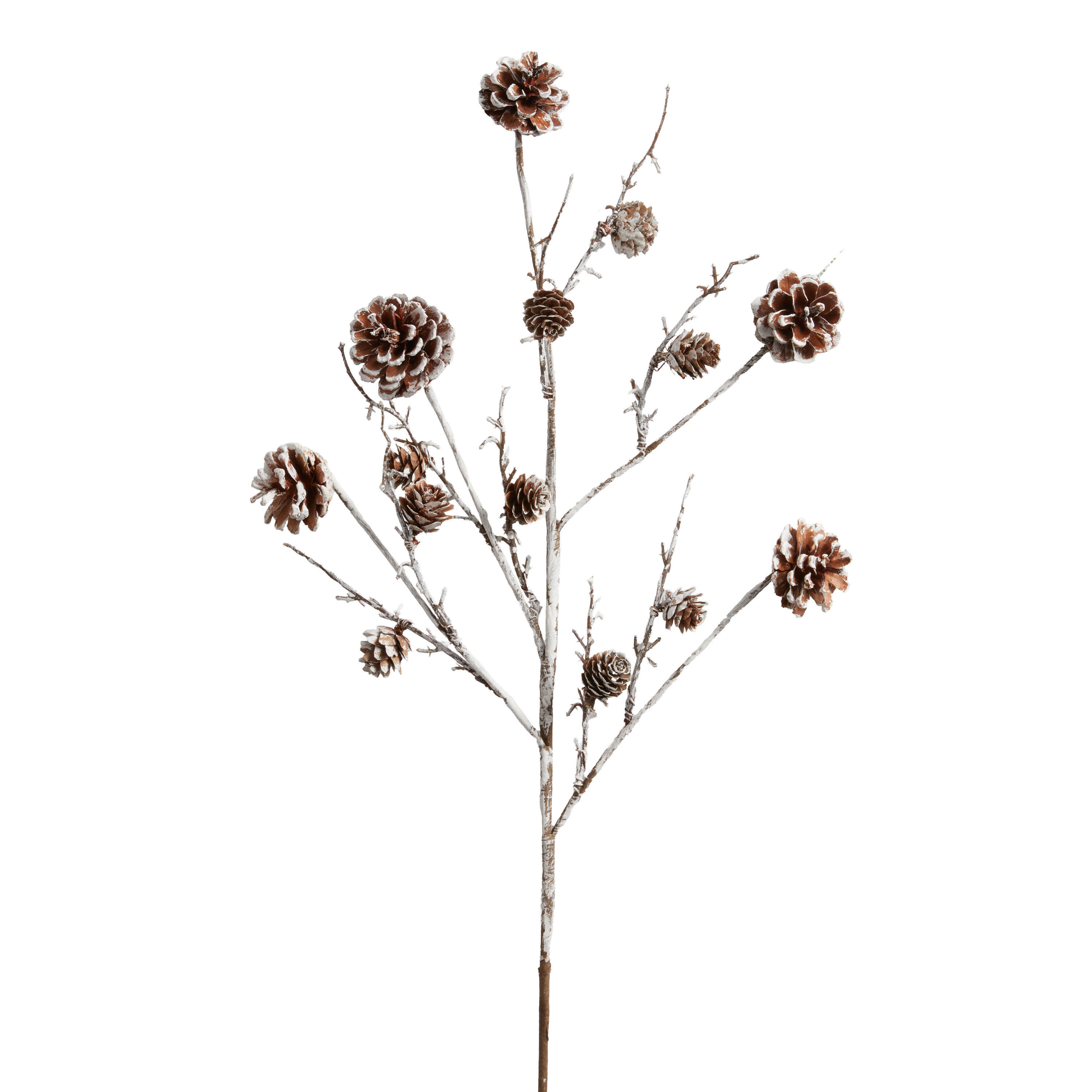 Frosted Pinecone Spray | World Market