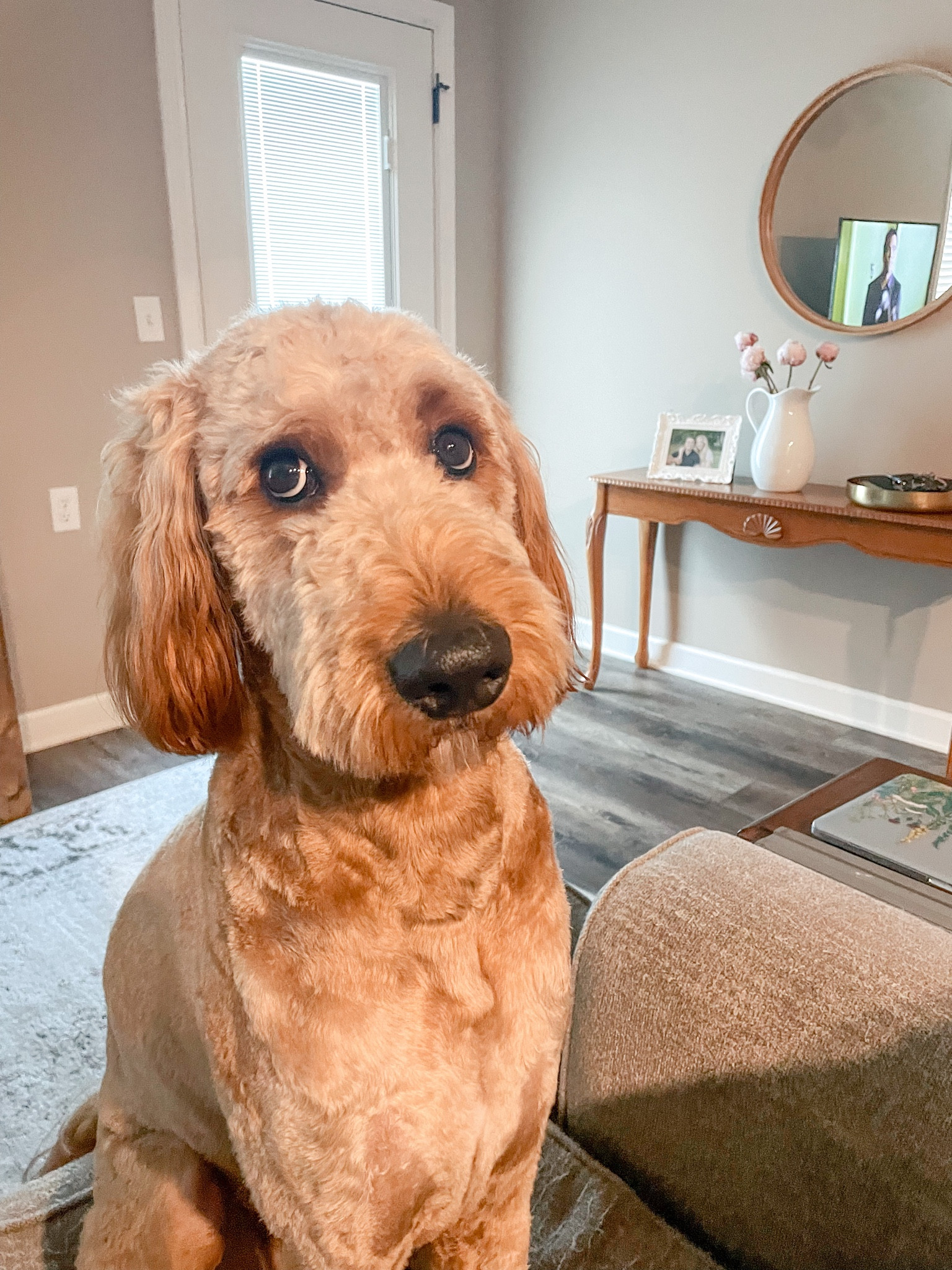 Millers Summer Finds 

#LTKSeasonal #LTKhome #LTKfamily