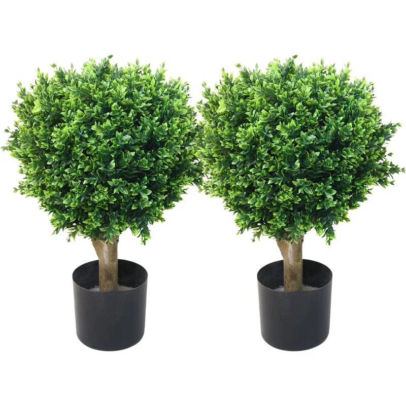 24'' Faux Boxwood Topiary in Planter (Set of 2) | Wayfair North America