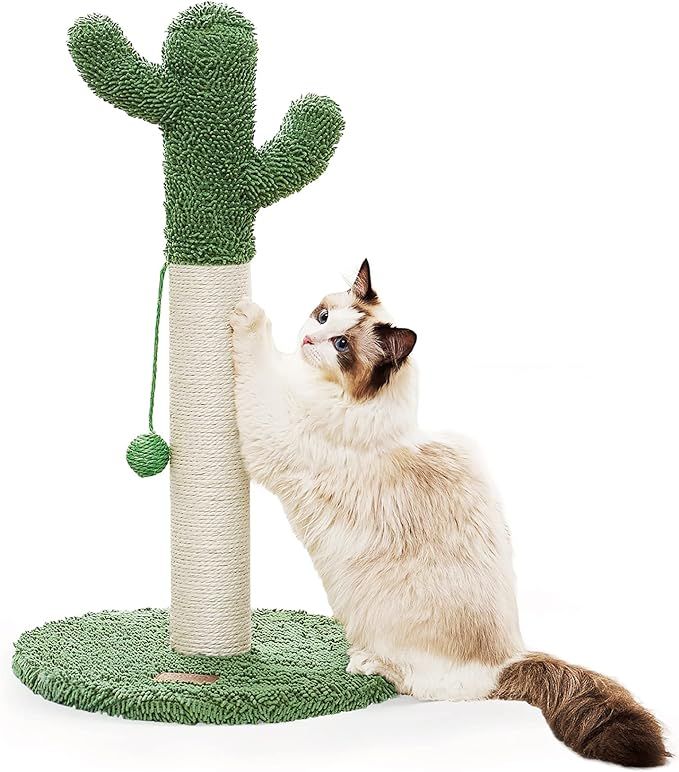 Lesure Cactus Cat Scratching Posts for Indoor Cats, Sisal Rope Cat Scratcher with Ball for Cats K... | Amazon (US)