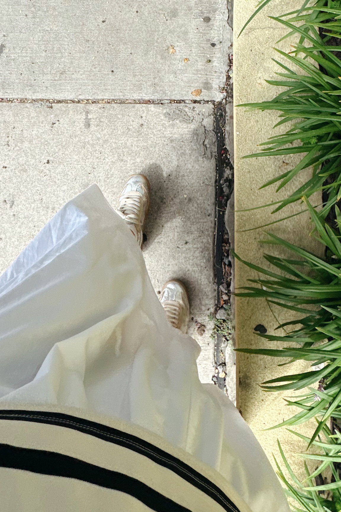 Dolce Vita silver sneaks

#LTKShoeCrush