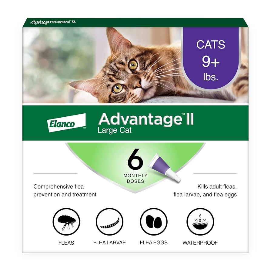 Advantage II Large Cat Vet-Recommended Flea Treatment & Prevention | Cats Over 9 lbs. | 6-Month S... | Amazon (US)